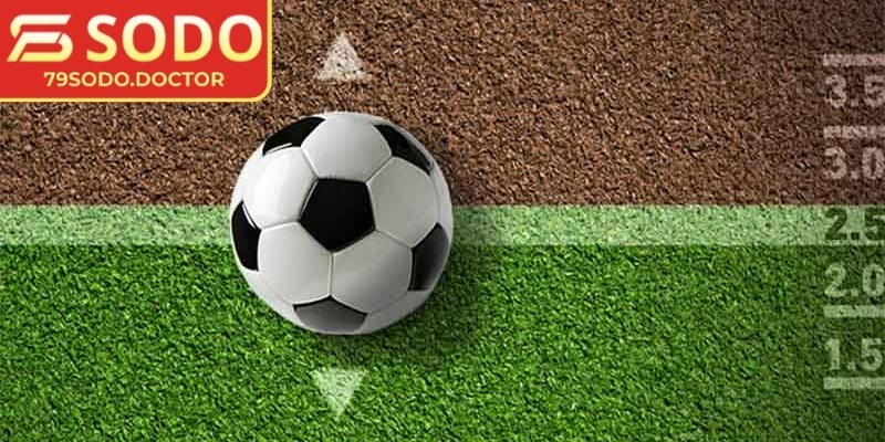 Kèo 1/2 79Sodo: Cách Hiểu Và Tính Thắng Thua Chi Tiết 2 Cách tính thắng thua trong kèo rõ ràng