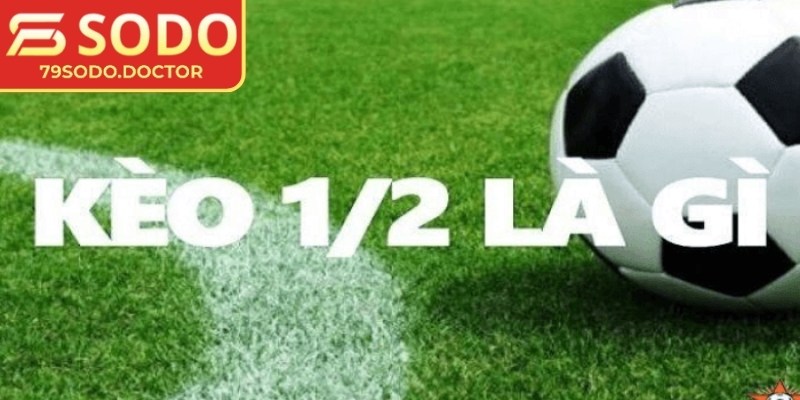 Kèo 1/2 79Sodo: Cách Hiểu Và Tính Thắng Thua Chi Tiết 1 Tìm hiểu về kèo 1/2 79Sodo cho người mới tham gia